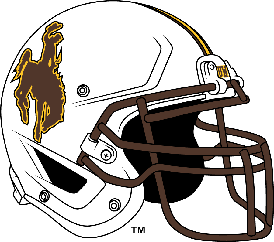 Wyoming Cowboys 2014-2021 Helmet diy iron on heat transfer